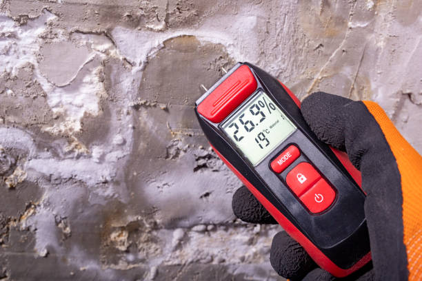 Professional Mold Remediation in Sellersburg, IN
