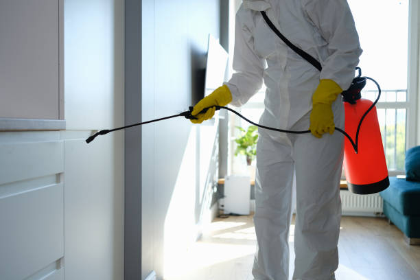 Best Post-Flood Mold Remediation in Sellersburg, IN
