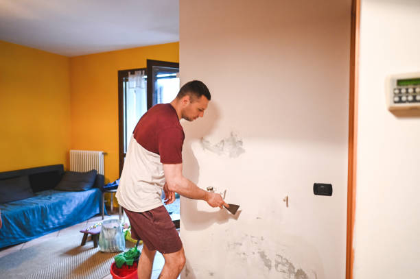 Best Insurance-Related Mold Remediation in Sellersburg, IN